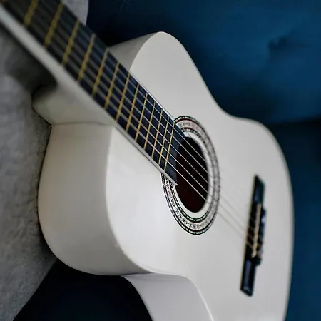 Barcolana Holiday home Porec